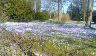 Flensburger Frühlingsimpressionen